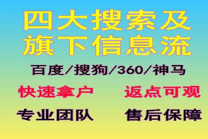 成功案例：专业SEM托管服务助力企业抢占行业制高点